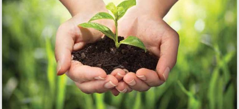 Sustainable Development and CSR An Emerging Issue